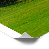 Poster Clairière verte (Coin)