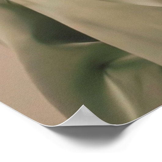 Poster Clairo vert (Coin)