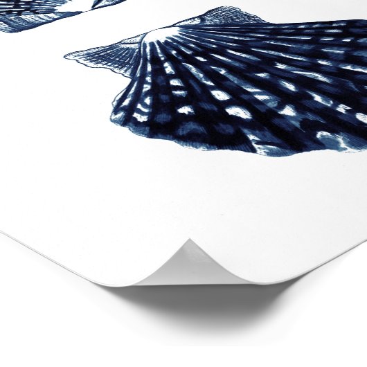 Poster Clam Shells Décor de plage bleu marine (Coin)