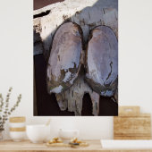 Poster Clamshell Wings (Cuisine)