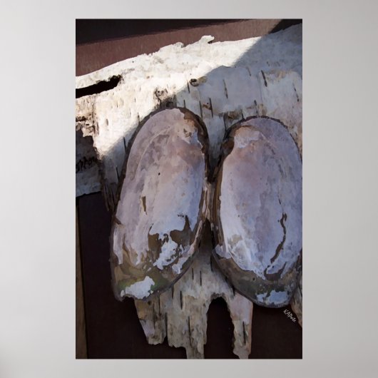 Poster Clamshell Wings (Devant)