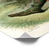 Poster Clan MacDonald de Glencoe (Coin)