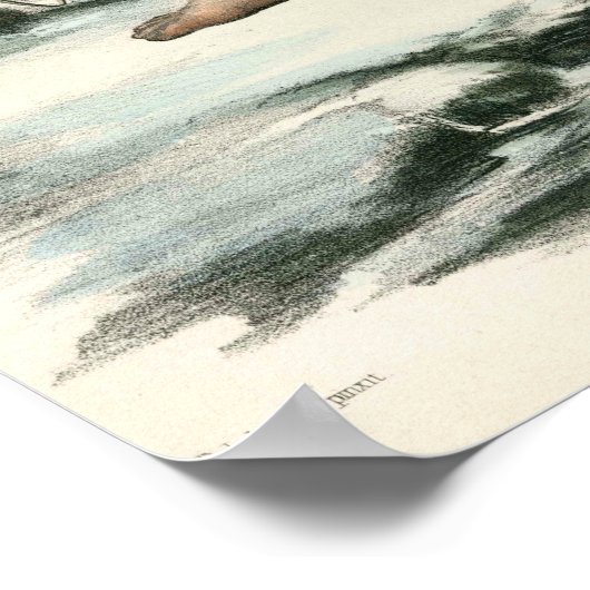 Poster Clan MacInnes (Coin)