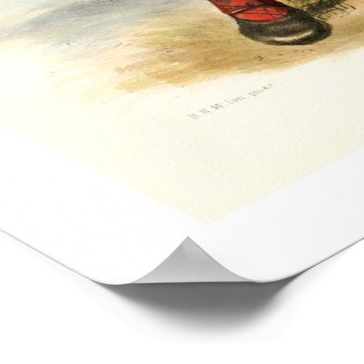 Poster Clan MacLean (Coin)