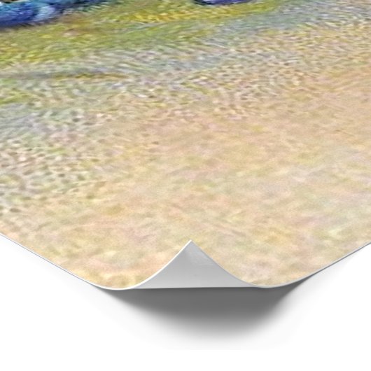 Poster Clapsaddle : Balançoire (Coin)