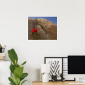Poster Claret cup ou cactus de Mojave en fleurs (Bureau à domicile)