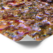Poster Clarion (Coin)