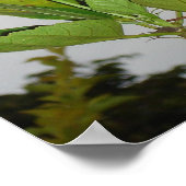 Poster Clarion (Coin)