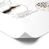 Poster Clark Dental Health Chart pour dentiste (Coin)