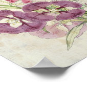 Poster Clarkias botanique vintage (Coin)