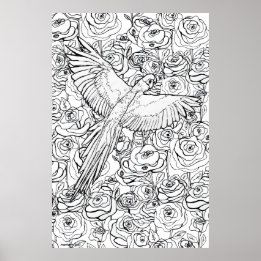 Poster Clarté du perroquet