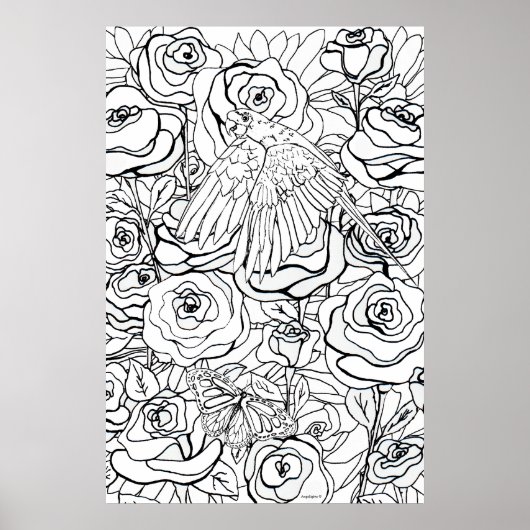 Poster Clarté du Perroquet (Devant)