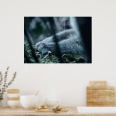 Poster Classer dans le Velvet (Cuisine)