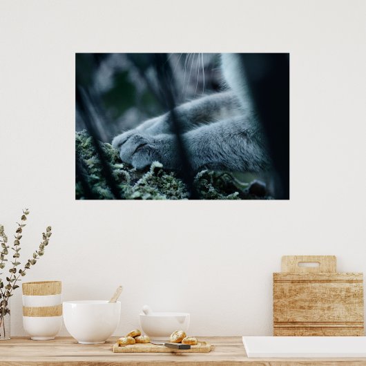 Poster Classer dans le Velvet (Cuisine)