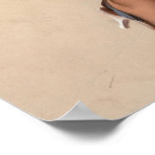 Poster Classer le vote (Coin)