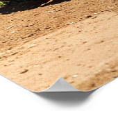 Poster Classic Baseball Glove on Infield Dirt (Coin)