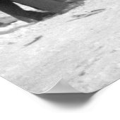 Poster Classic Car Wreck, 1940 (Coin)