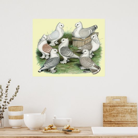 Poster Classic Frill (Cuisine)