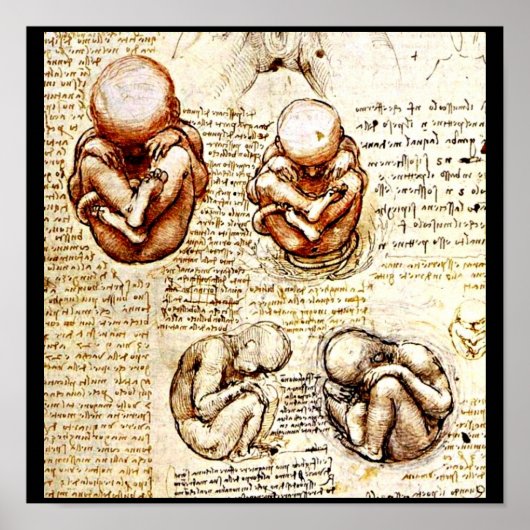 Poster-Classic/-Leonardo da Vinci 9 Poster (Voorkant)