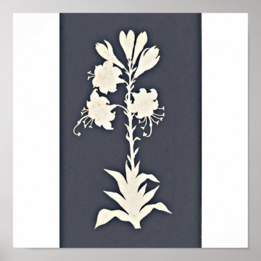 Poster-Classic/-Philipp Otto Runge 13 Poster (Voorkant)