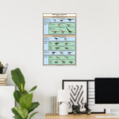 Poster Classification des dinosaures simplifiée (Bureau à domicile)