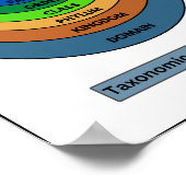 Poster Classification taxonomique (Coin)