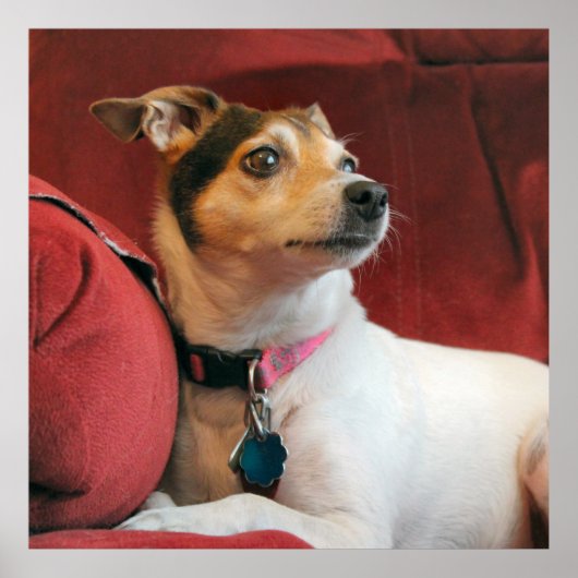 Poster Classique (Devant)