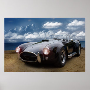 Poster Classique Cobra