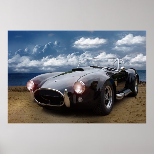 Poster Classique Cobra (Devant)