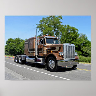 Poster Classique Tan 359