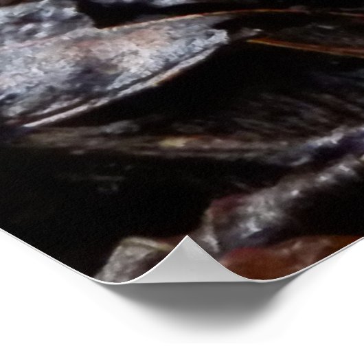 Poster Clathrus (Coin)