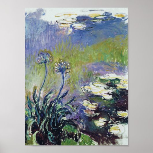 Poster Claude Monet - Agapanthus, (Devant)