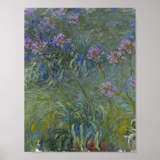 Poster Claude Monet - Agapanthus (Devant)