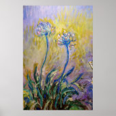 Poster Claude Monet - Agapanthus (Devant)