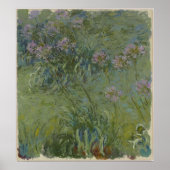Poster Claude Monet - Agapanthus (Devant)