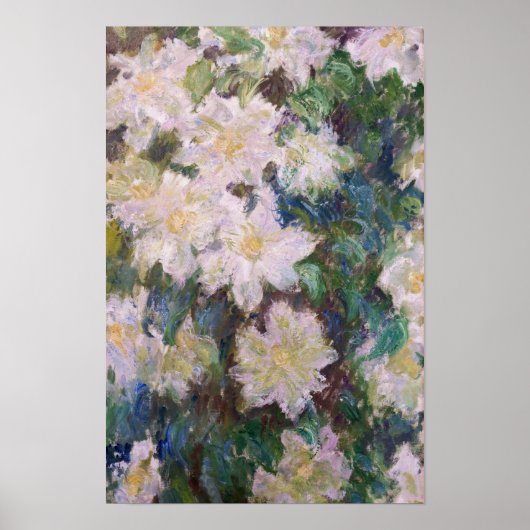 Poster Claude Monet - Clématite Blanche (Devant)