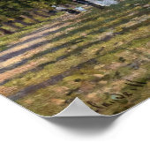 Poster Claude Monet - Le Bassin d'Argenteuil (Coin)