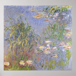 Poster Claude Monet Lys d'eau, amas d'herbes