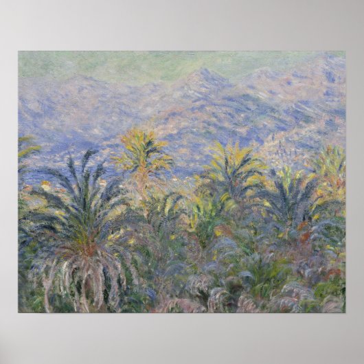 Poster Claude Monet - Palmiers à Bordighera (Devant)