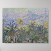 Poster Claude Monet - Palmiers à Bordighera (Devant)