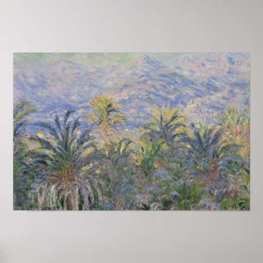 Poster Claude Monet - Palmiers à Bordighera (Devant)