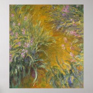 Poster Claude Monet   The Path through the Irises