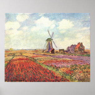 Poster Claude Monet - Tulip fields aux Pays-Bas - 1886