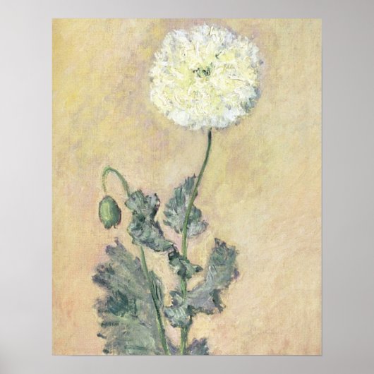 Poster Claude Monet | White Poppy (Devant)