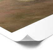 Poster Claude Monet | White Poppy (Coin)