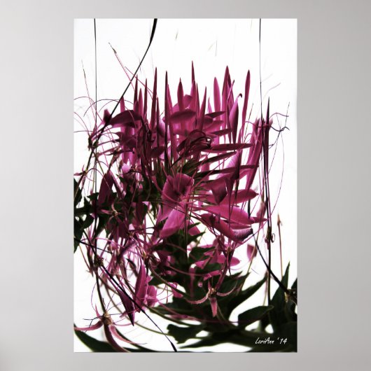 Poster Clé compressé (Devant)