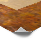 Poster Clear Visions (Coin)