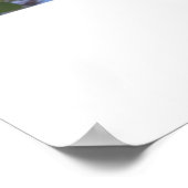 Poster Clearwater Beach, Floride (Coin)