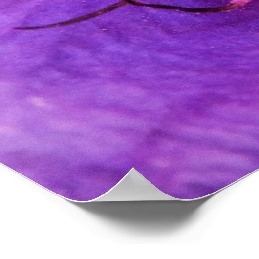 POSTER CLEMATIS (Coin)