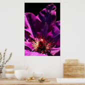 Poster Clematis (Cuisine)